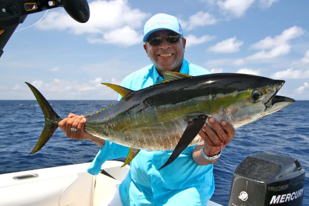 The Yellowfin Record of The World